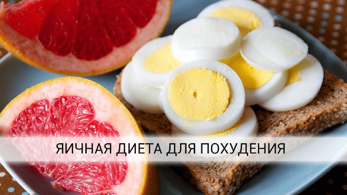 Фото из открытого источника 