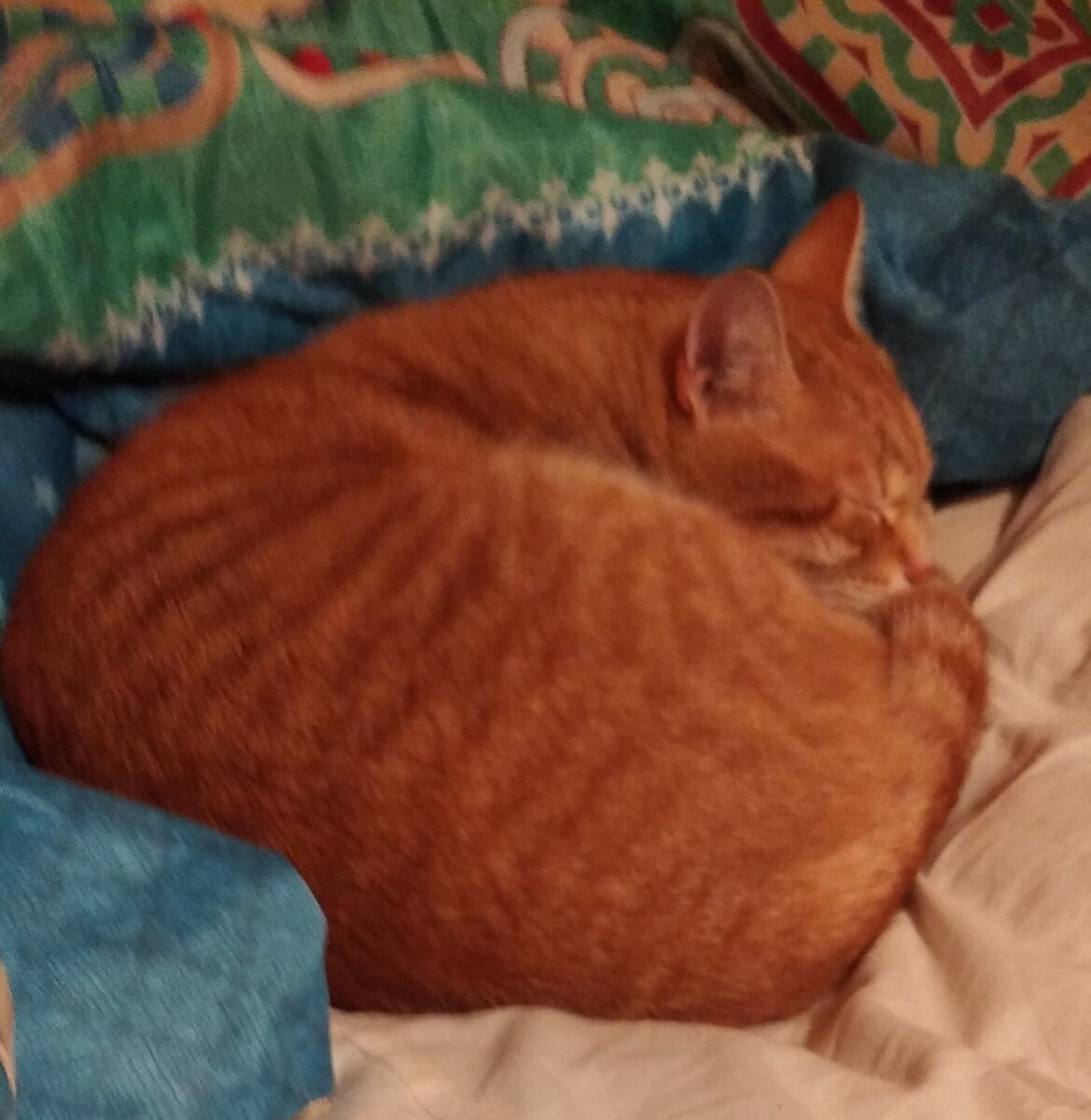 Личное  фото.