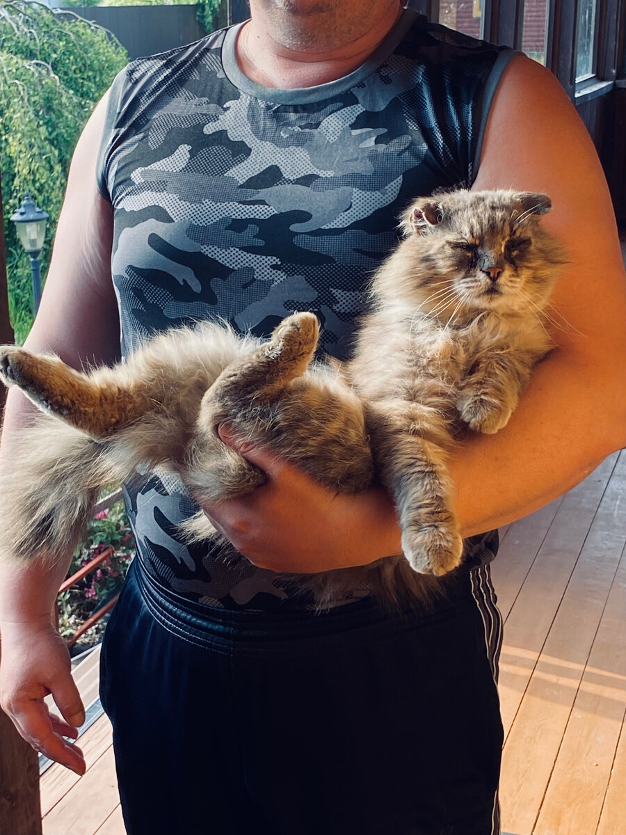Филю несут домой кушать.