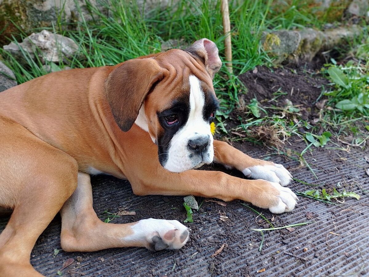 Перси передает всем приветы