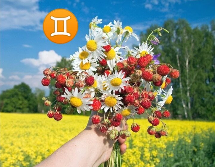 Настроение - лето... 