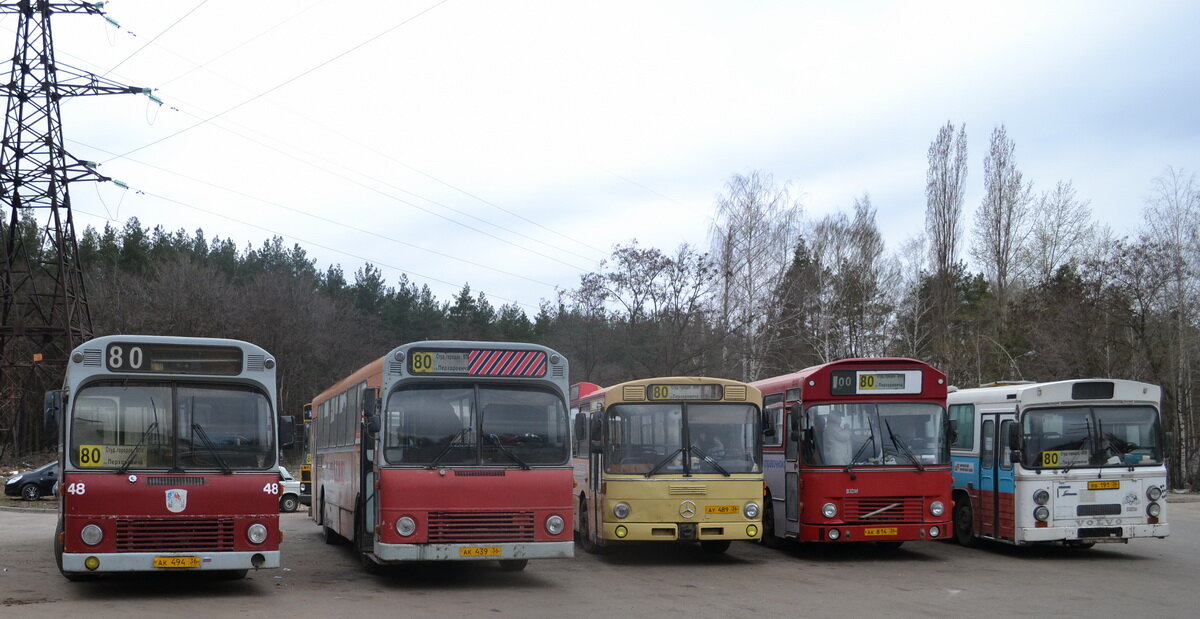 Рейсовые автобусы воронеж. Автобус 80 Воронеж. Aabenraa m75. 80 Маршрут Воронеж. Маршрут 80 автобуса Воронеж.