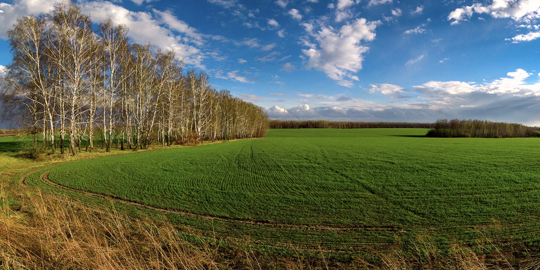 Откуда в России берутся "всепропальщики". Личное мнение