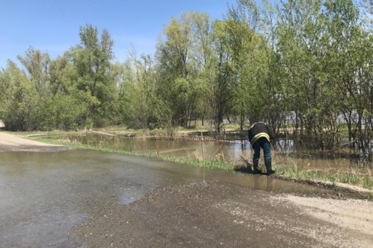    Уровень Оби у Барнаула подходит к критической отметке