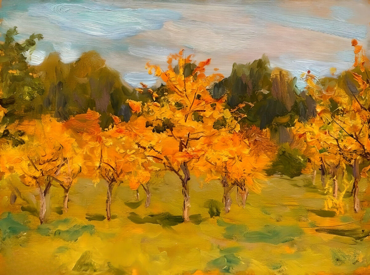 Яблони, 1906