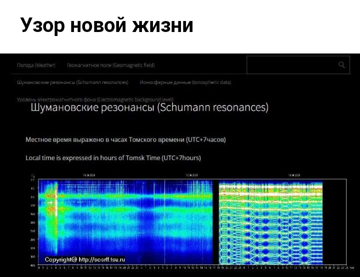 Частота шумана сегодня томский