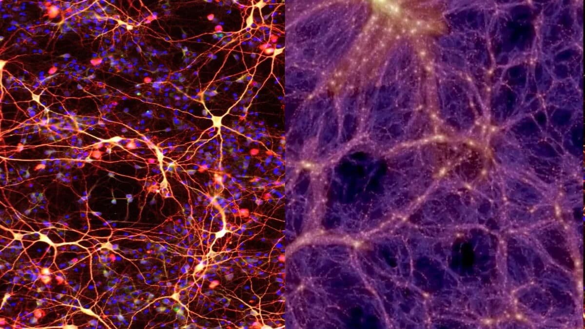 Включи галактический мозг. Нейроны мозга и Вселенная. Космос и Нейроны мозга. Клетка мозга и Вселенная. Нейронная сеть и Вселенная.