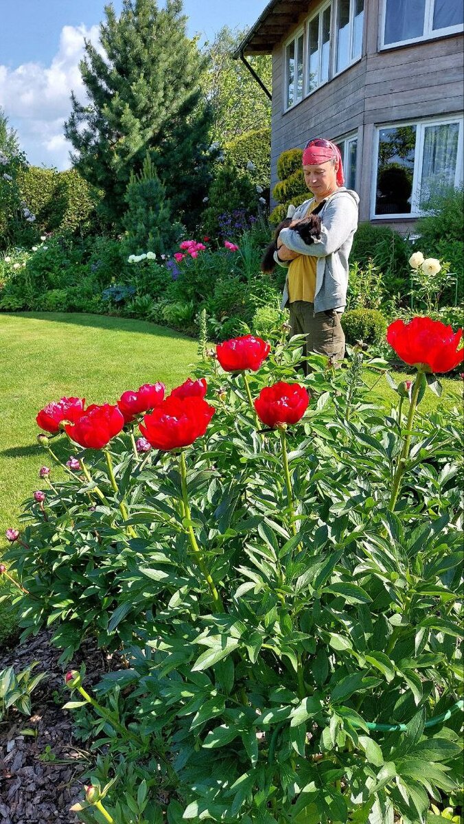 Кот Оссе, Сад Дракона и Евгений Сапунов - главный садовник Зарядья и борец с мракобесием