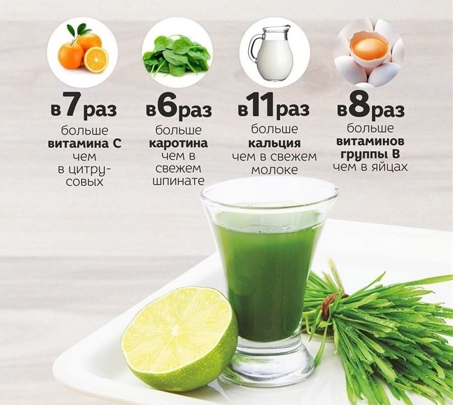 Cамый полезный напиток в мире | swjournal.ru | Дзен