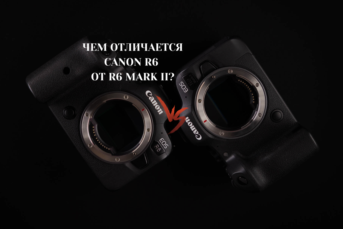 панасоник джи аш 5. байонетное крепление. Canon eos 600d. Canon camera eos r6. отличие canon.