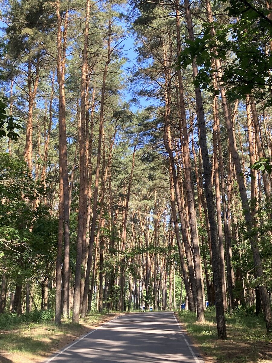 По этой дорожке мы подъехали к самой базе 