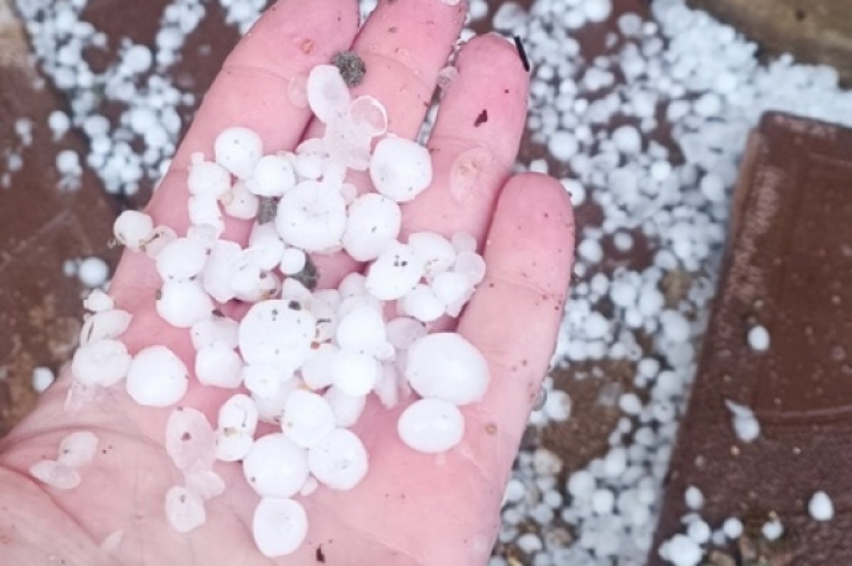    В Осташковском округе 24 июня выпал град