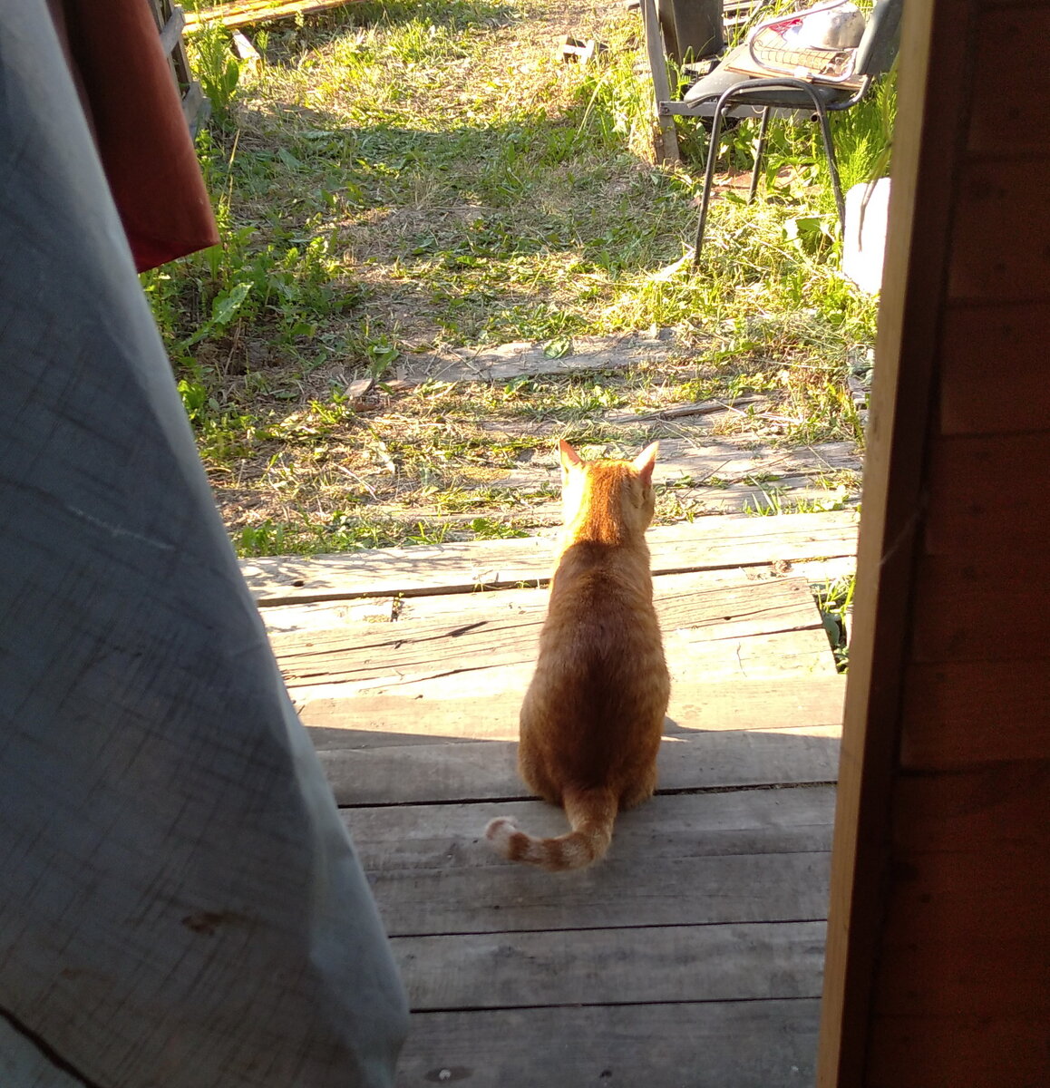 Личное  фото