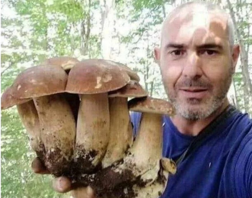 пап гриб. гриб тиктака. папа гриб фото. мама гриб. папа гриб стандофф 2.