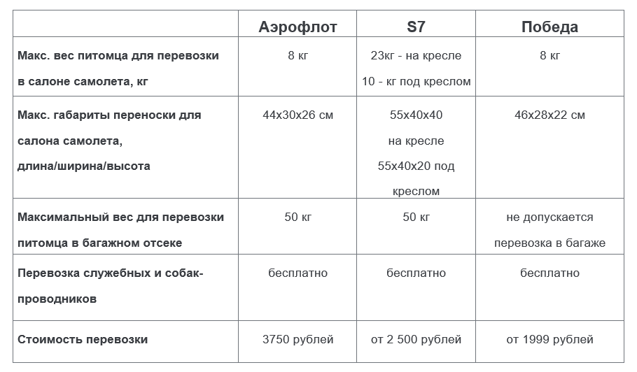 Правила перевозки животных на самолете победа. Аэрофлот условия перевозки животных.