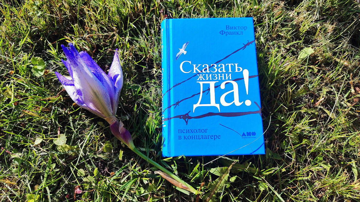 Фото из личного архива: такая маленькая книга с тяжёлой как айсберг историей