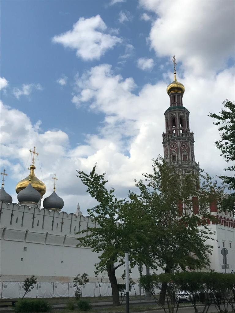 Купола Новодевичьего монастыря