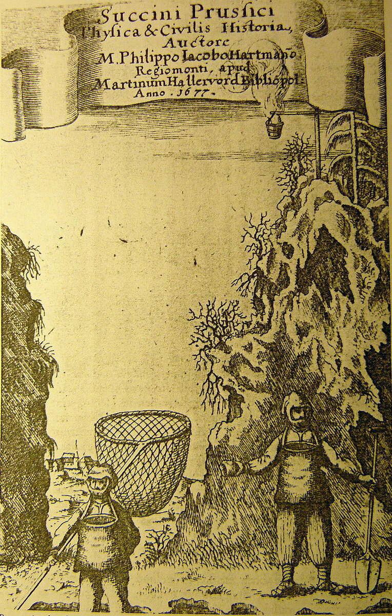 В поиске янтаря. Европейская гравюра, XVII век