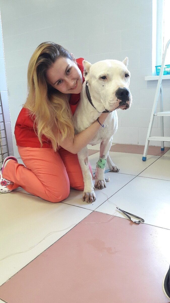 Несомненный плюс это возможность всегда потискать кошечек и собачек 😊