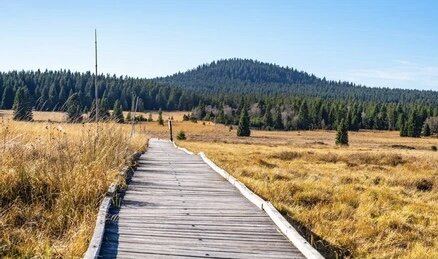 Фото из открытых источников.