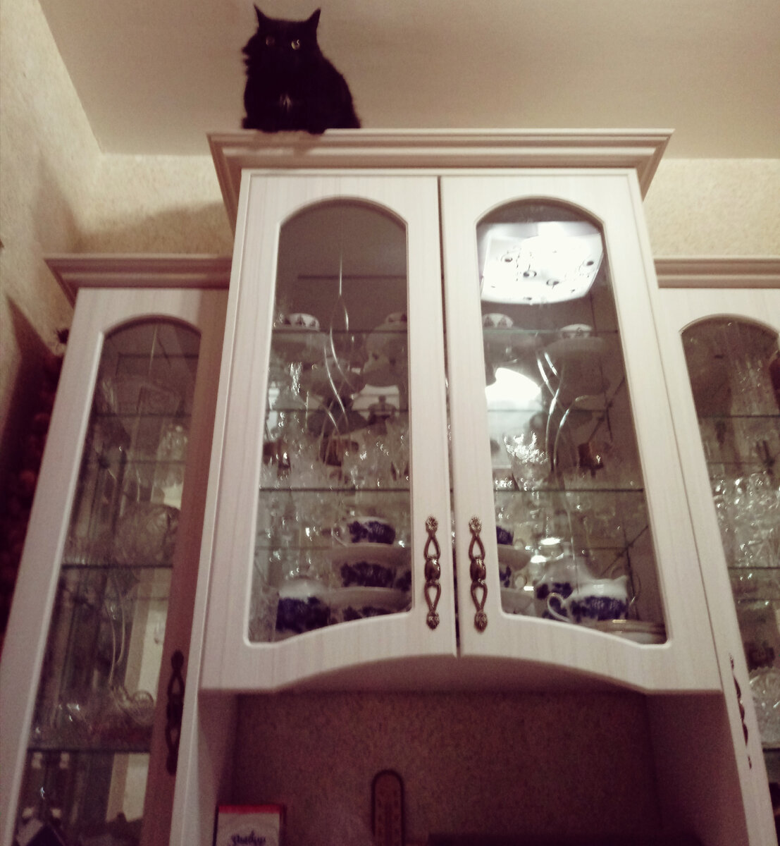 Фёдор вне зоны доступа. 