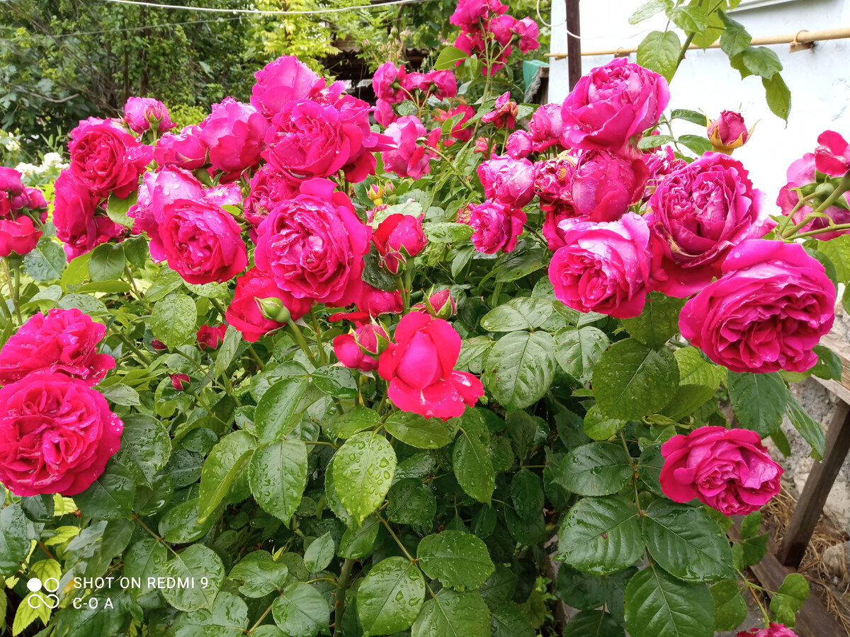 Эрик Табарли. Фото автора.