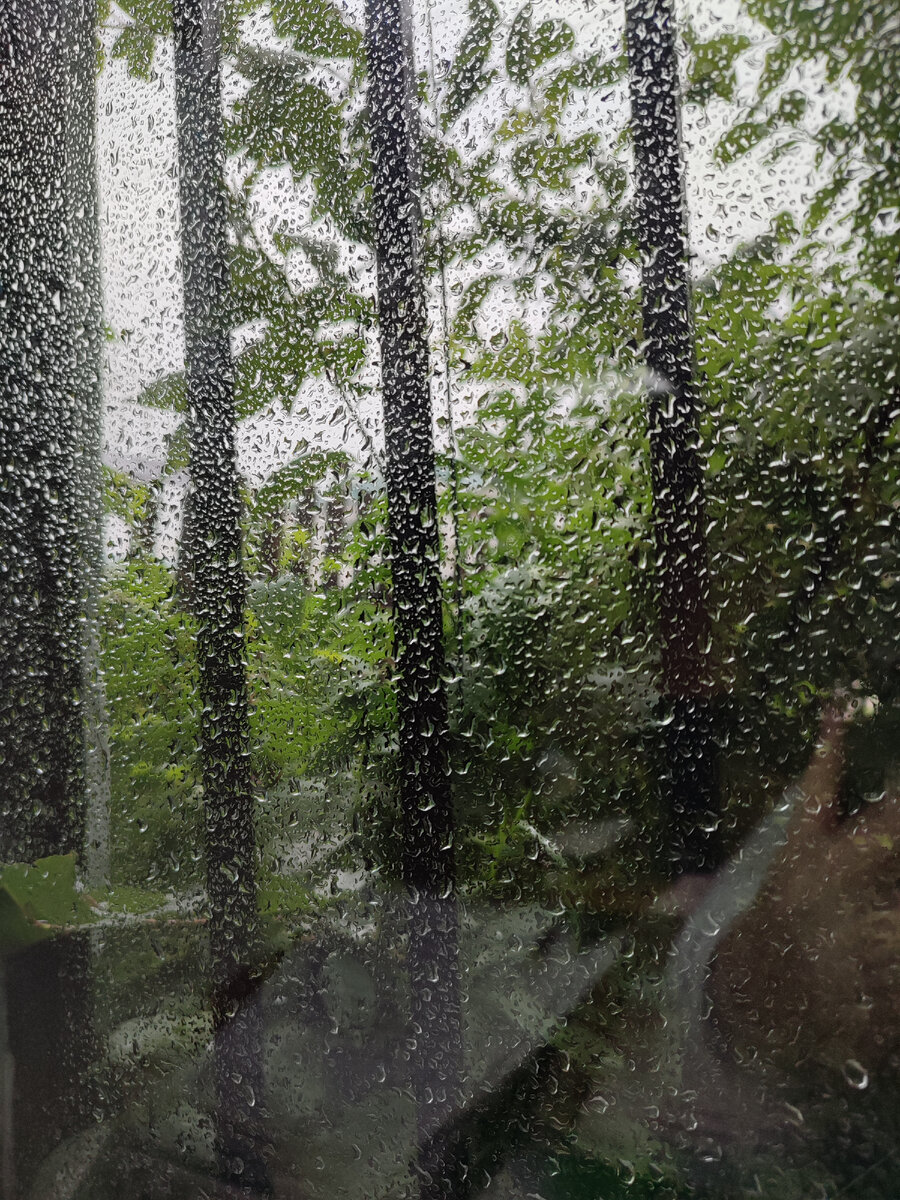 В дождь — самые длинные сумерки