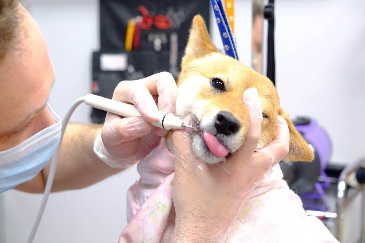 Регулярная чистка зубов с использованием специальной зубной пасты