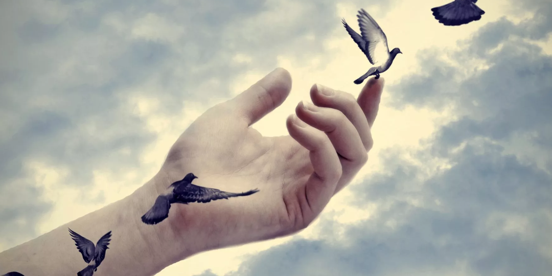 Предлагаю новый социальный проект. Что сильнее в нас Человек или скотская натура?