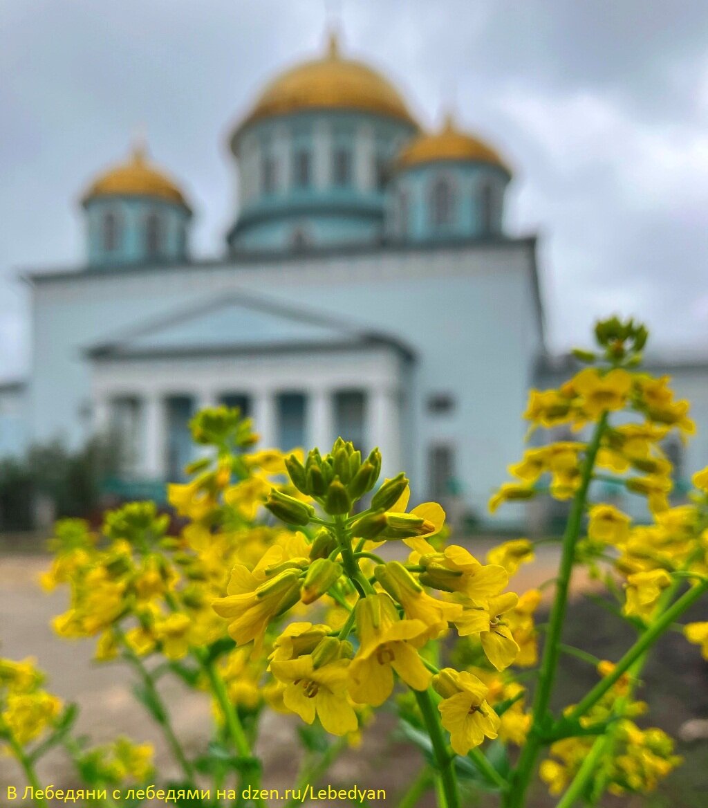 Ново-Казанский собор весной
