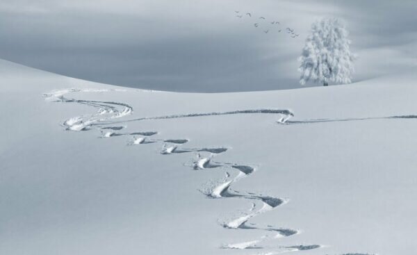    Фото: pixabay.com