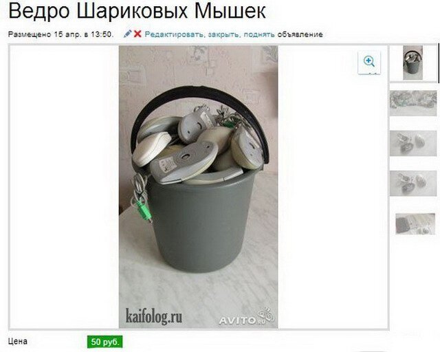 фото из свободного доступа