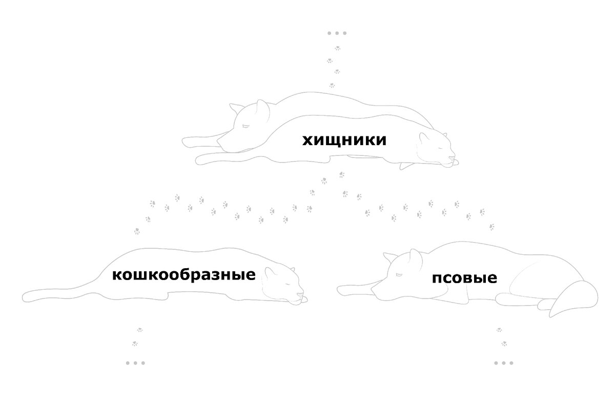 В мире существует огромное количество домашних животных. Кошки - самые популярные и завораживающие создания! Эти прекрасные создания поражают своим разнообразием.-2