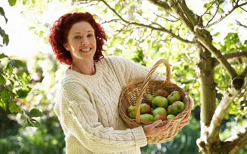 Какая дача без плодовых? (фото найдено здесь  https://babushkinadacha.ru/obo-vsem/effektivniy-i-byudzhetniy-sposob-izbavit-plodoviy-sad-ot-vrediteley.html)