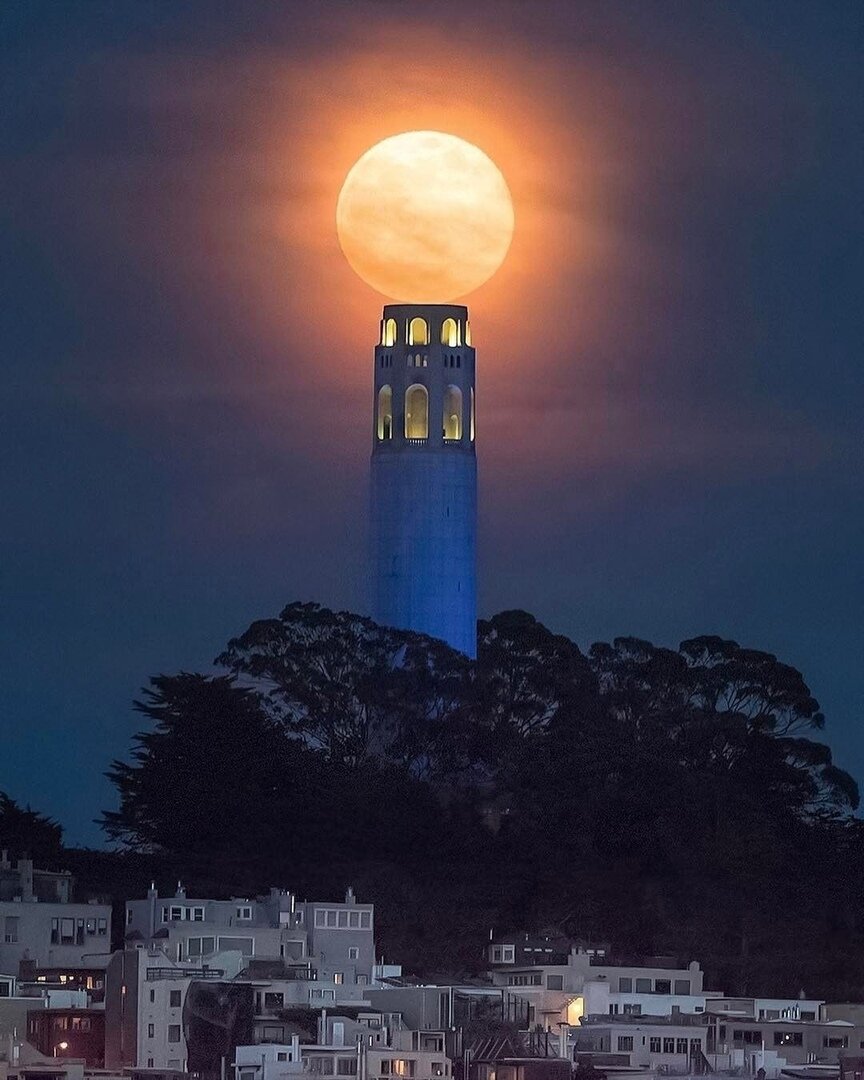 фото из открытых источников интернета