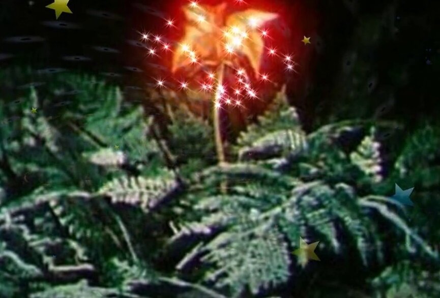 картинка из открытых источников интернета.