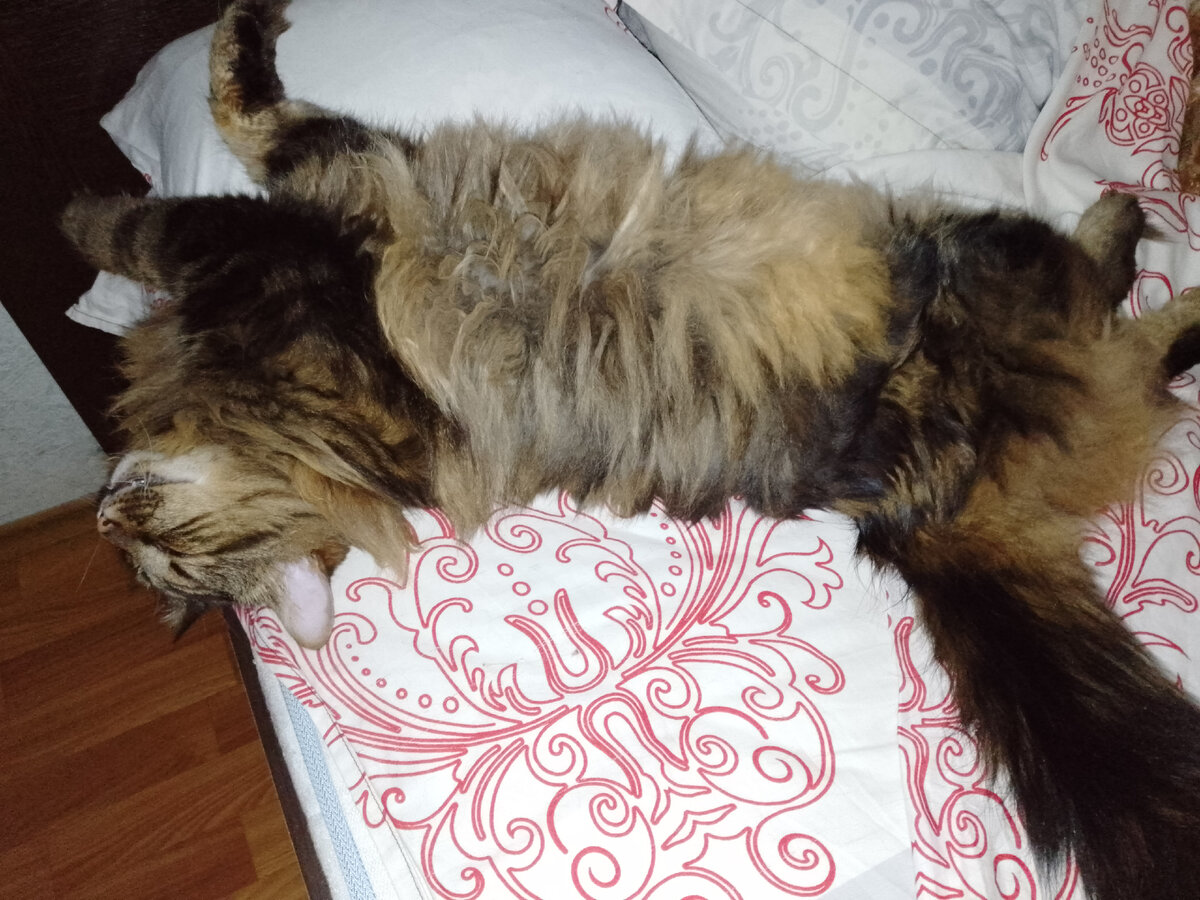 Кузя балдеет