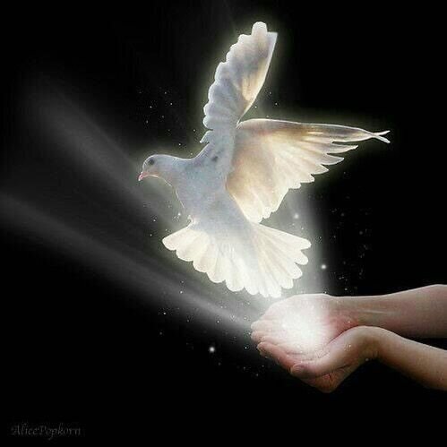 Источник фото: https://i.pinimg.com/564x/32/16/e4/3216e4dae593a918e3c7d6160bd2ccc1.jpg