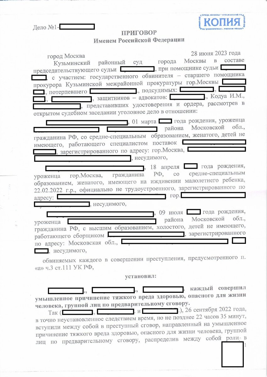 * копия приговора по делу