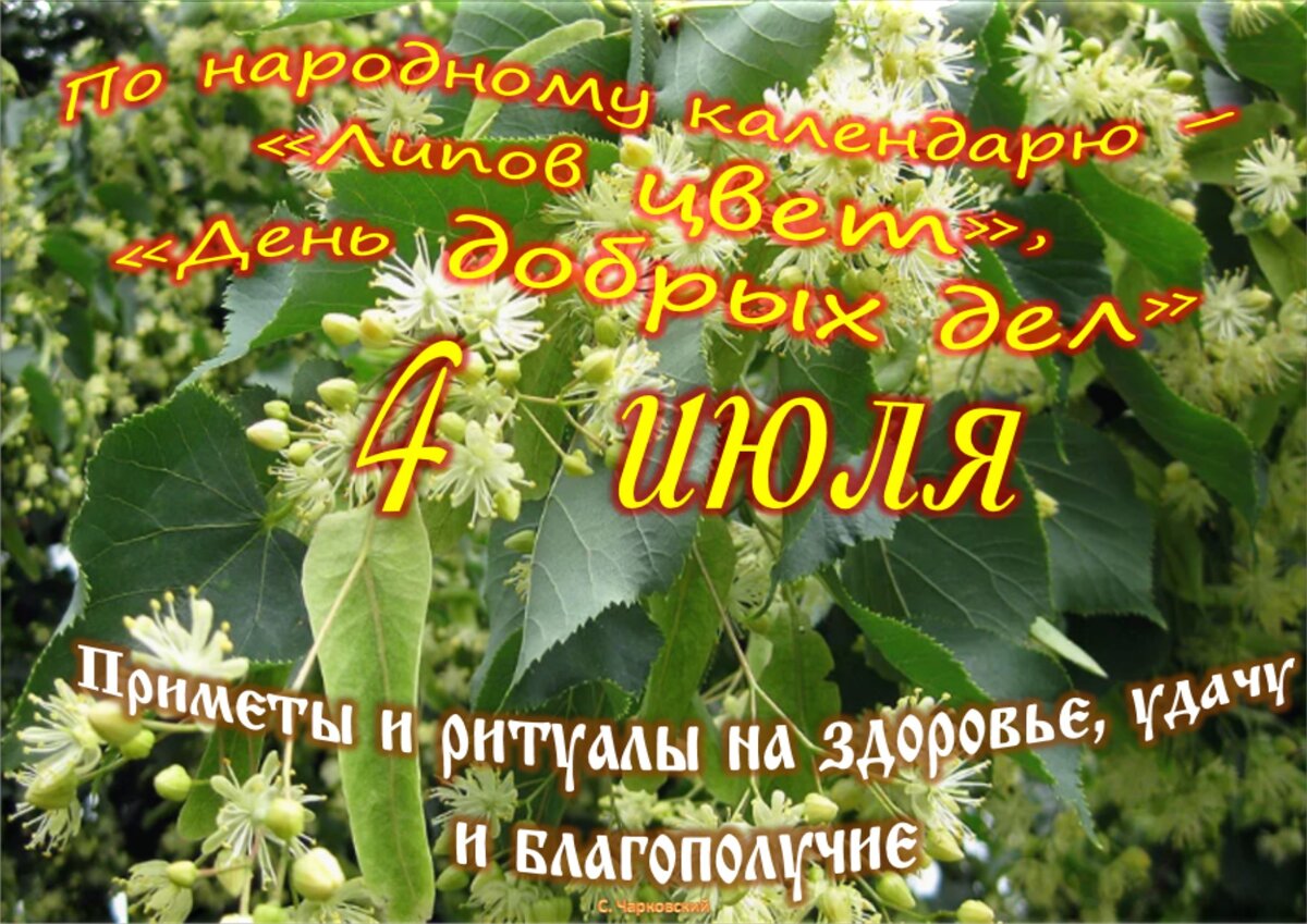 4 июля - Приметы, обычаи и ритуалы, традиции и поверья дня. Все праздники  дня во всех календарях. | Сергей Чарковский Все праздники | Дзен