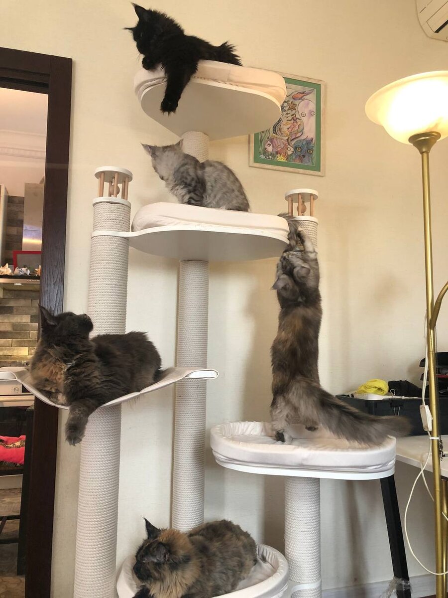 Фото из личного архива.