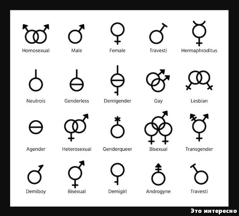 Фото Bisexuality, более 68 качественных бесплатных стоковых фото