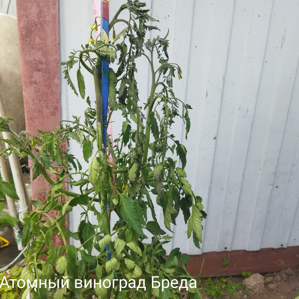Фото в 15.48, 05.07.23. 