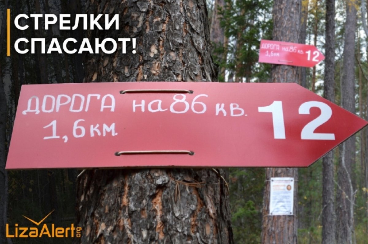    Лиза Алерт установит целеуказатели для заблудившихся в Томской области