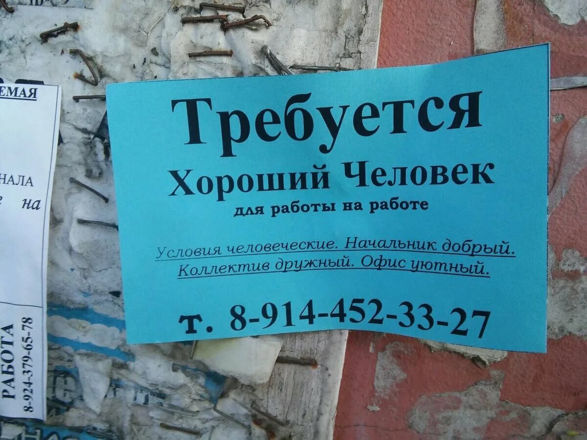 Объявления найду работу. Прикольные объявления о работе. Смешные объявления о работе. Креативные объявления о работе. Объявление о работе