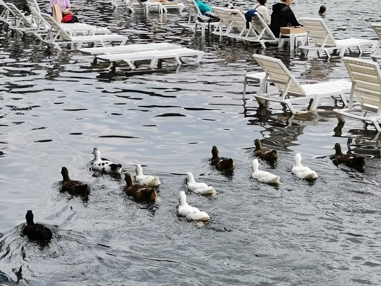   МК в Бурятии