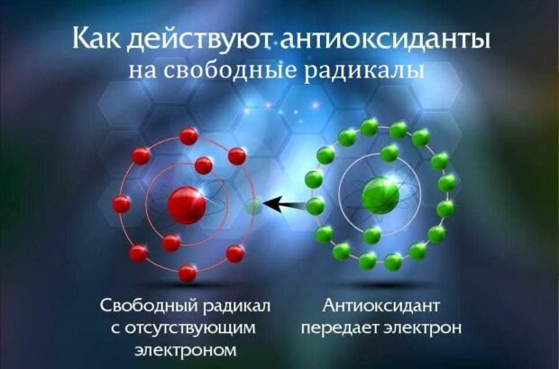 Действие антиоксидантов
