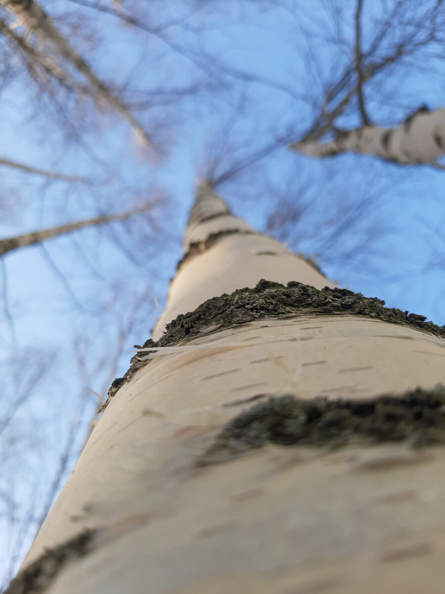 фото из личного архива