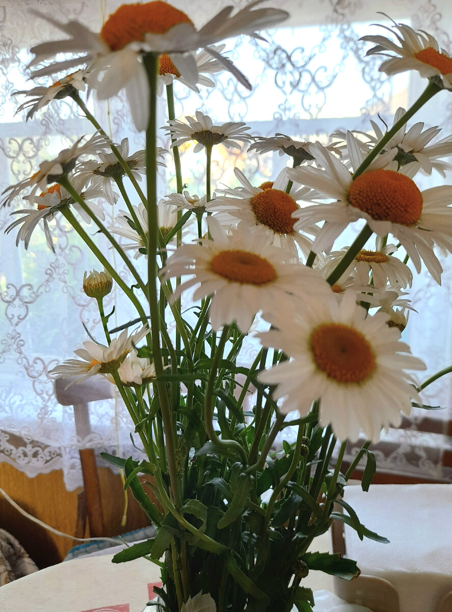 "Доброе утро, мир! Ты прекрасен!" Фото автора