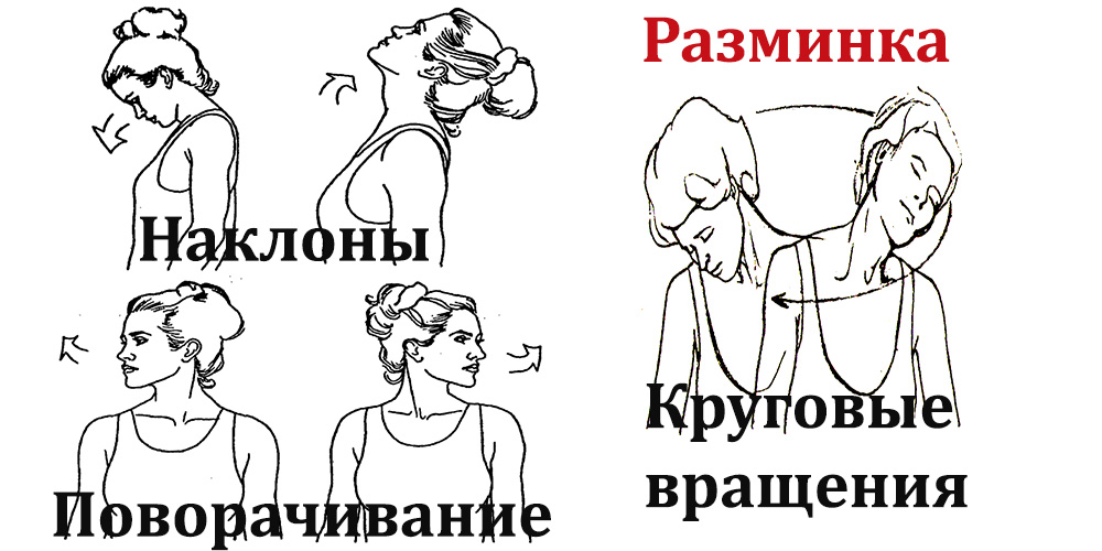 Наклоны и круговые движения. Разминка шейных мышц упражнения. Разминка мышц шеи. Упражнения для затылка и шеи. Разминка головы и шеи упражнения.